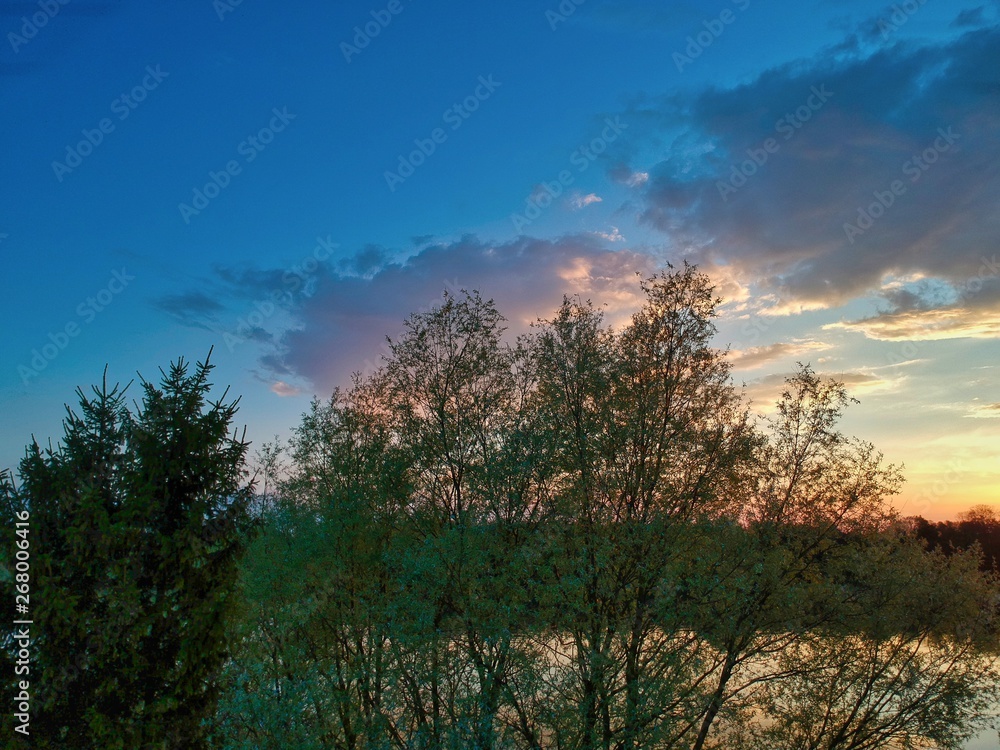 sunset in the forest in Minsk Region of Belarus