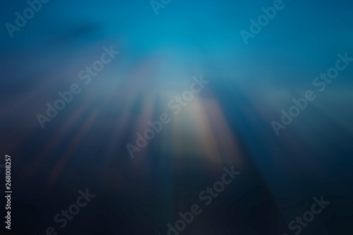 Blurred background, dark blue tones, slight light