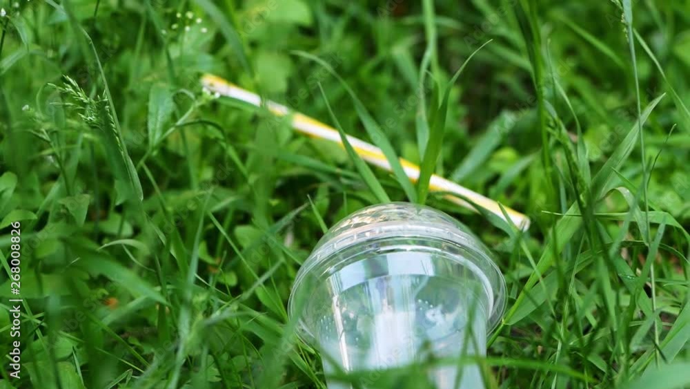 Plastic cup lying in the grass in the forest, plastic pollution concept Plastic cup lying in the grass in the forest, plastic pollution concept