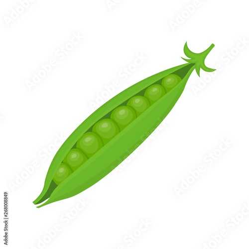 Fresh green pea vegetable isolated on white background. Pea icon for market, recipe design. Organic food. Cartoon style. Clean and modern vector illustration for design.