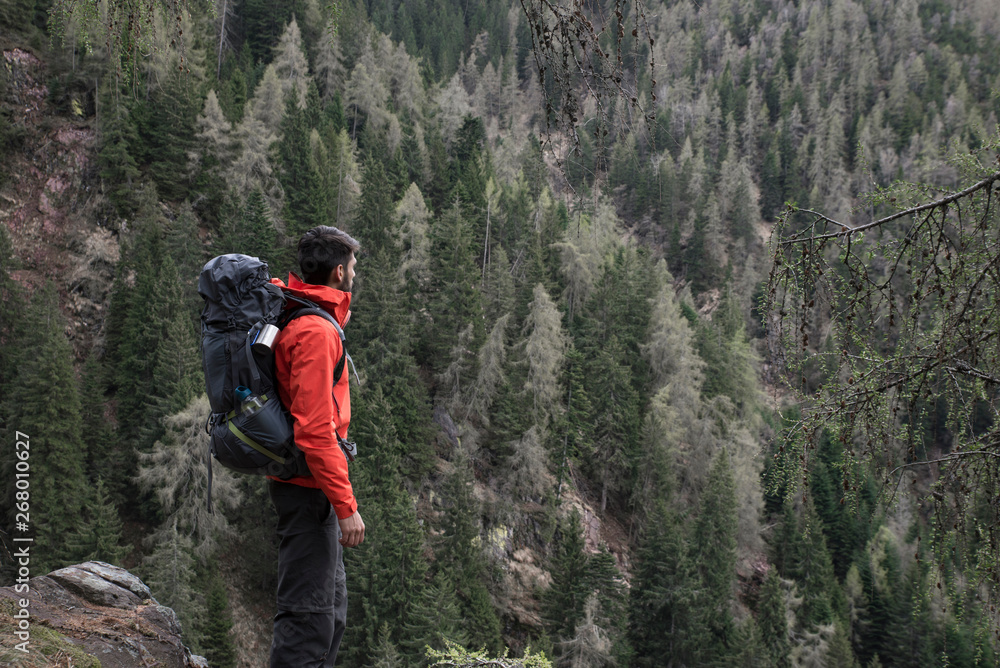 Portrait of an athletic healthy man hiking in nature and looking the at the view. High mountain fir forest background. Portrait of an athletic healthy man hiking in nature and looking the at the view. High mountain fir forest background.