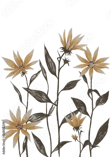 Botanical illustration. Graphic with floral elements. Pencil drawing of blooming flowers.