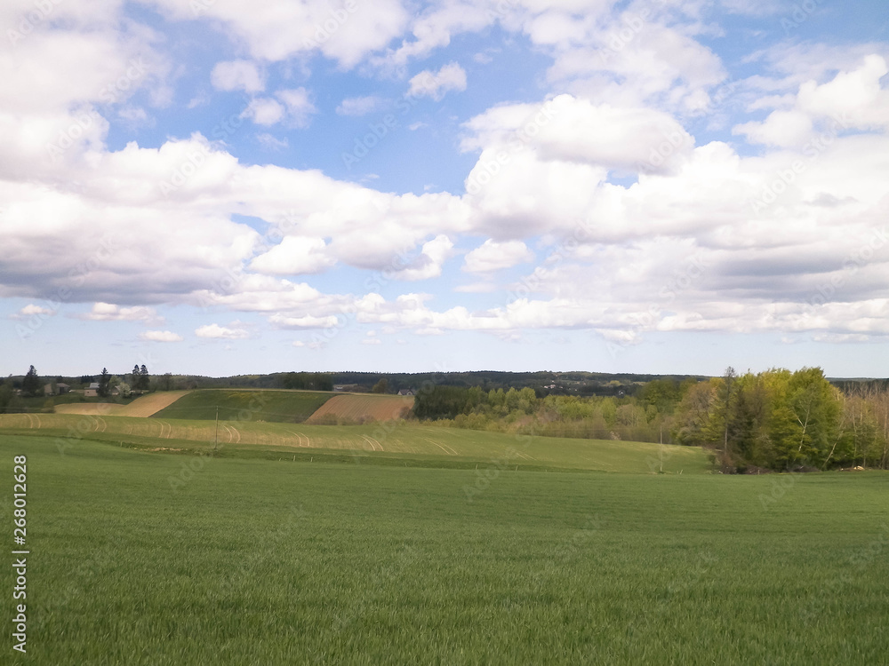 Green fields in Kashubia region - Northern Poland. Green fields in Kashubia region - Northern Poland.