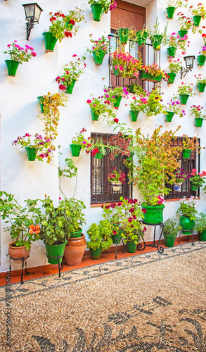 Nice patio in the old town of Cordoba