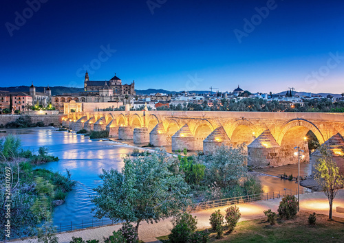Roman Bridge and Guadalquiv...