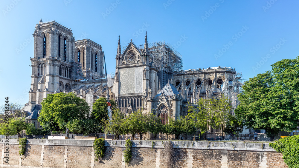 La Cathédrale Notre-Dame de Paris 1 mois après l'incendie