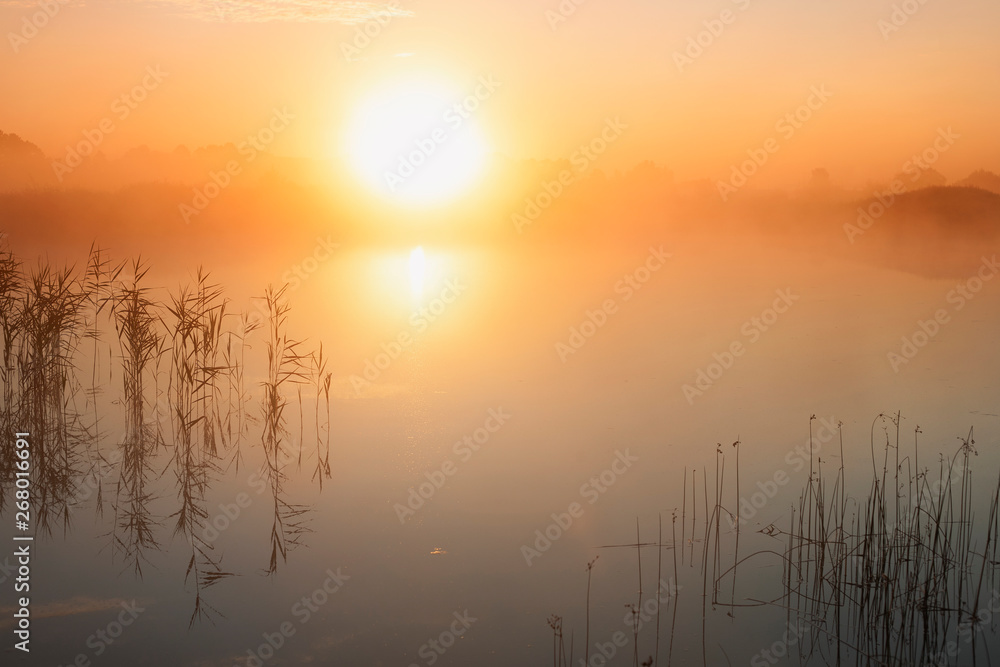 Picturesque dawn over a misty lake with hills and trees in the background