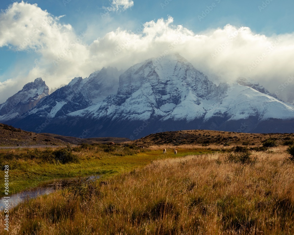 Golden grassy meadow in front of Mountain Range of Torres del Paine on Fall day