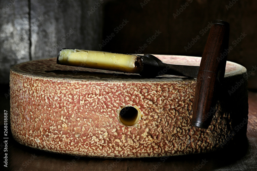 Obraz premium organic hay milk cheese wheel from German Allgäu region with grading iron in ripening storage