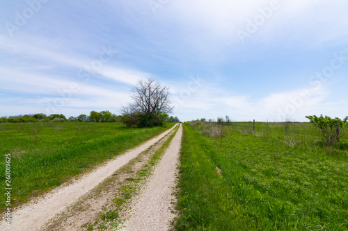 Dirt road through the Prairie