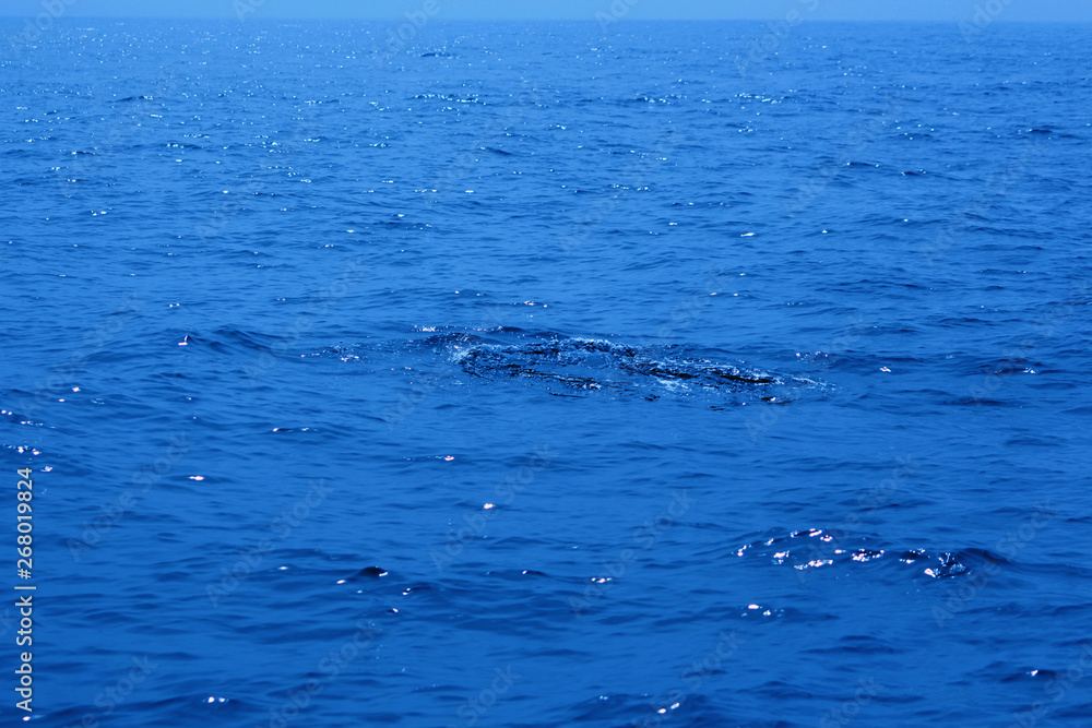 waves on the sea waves on the sea