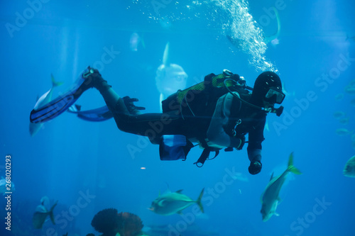 Diver diving with a scuba set. © Vladimir Wrangel
