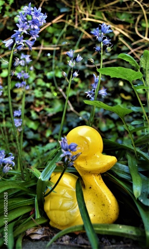 Yellow duck in flowers
