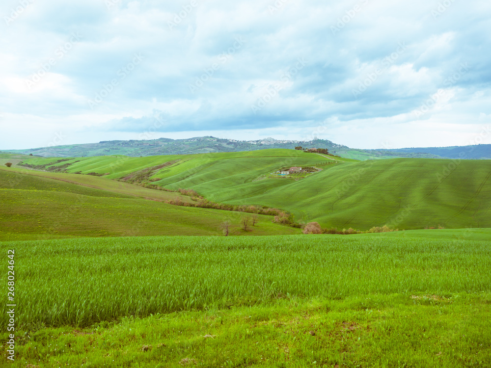 Landscape in spring.