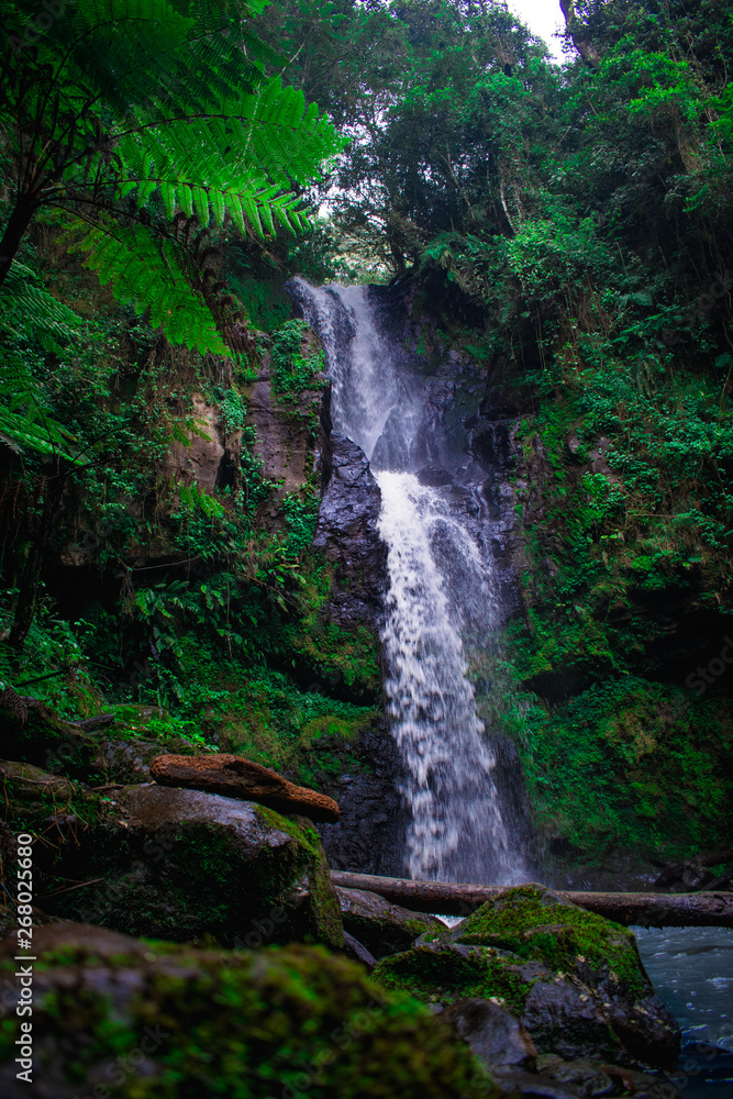 waterfall at kereita forest kenya, africa