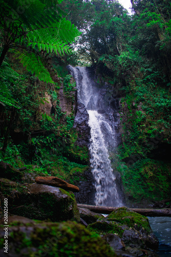 waterfall at kereita forest kenya  africa