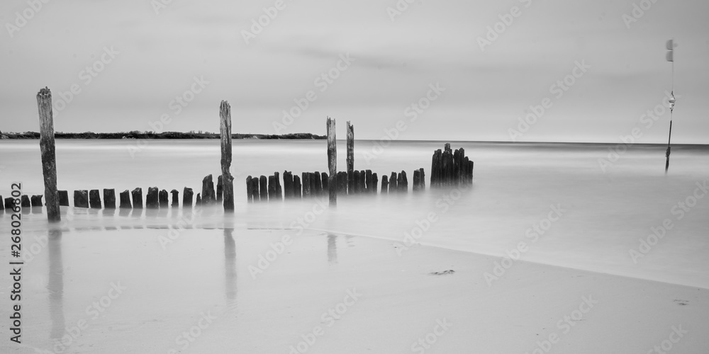 remains of wooden pier at sea shore                              