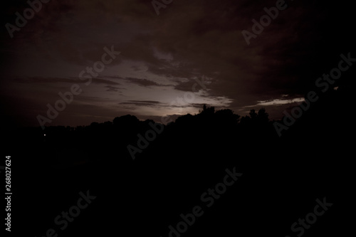 Photos of the night landscape. Forest in dusk