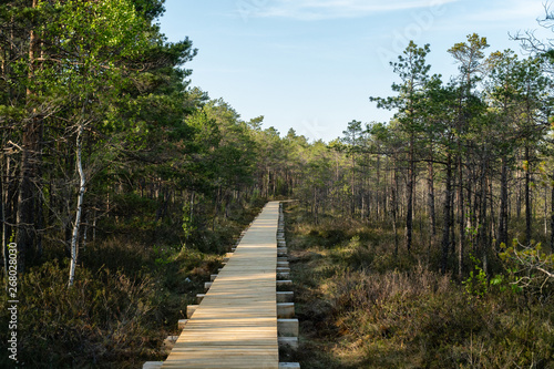 Mūša Telmological Reserve wooden footpath trail - longest trail in Lithuania
