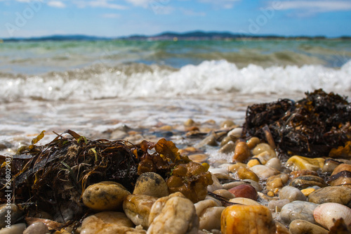 remains of seaweed and seashells on a pebble beach with the ocean and waves in the background and a blue sky with clouds