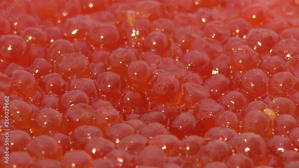Granular salted caviar Pacific wild red fish as food background. Granular salted caviar Pacific wild red fish as food background.