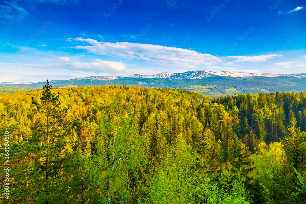 Scenic spring landscape of Giant Mountains - Karkonosze Mounatains, Poland