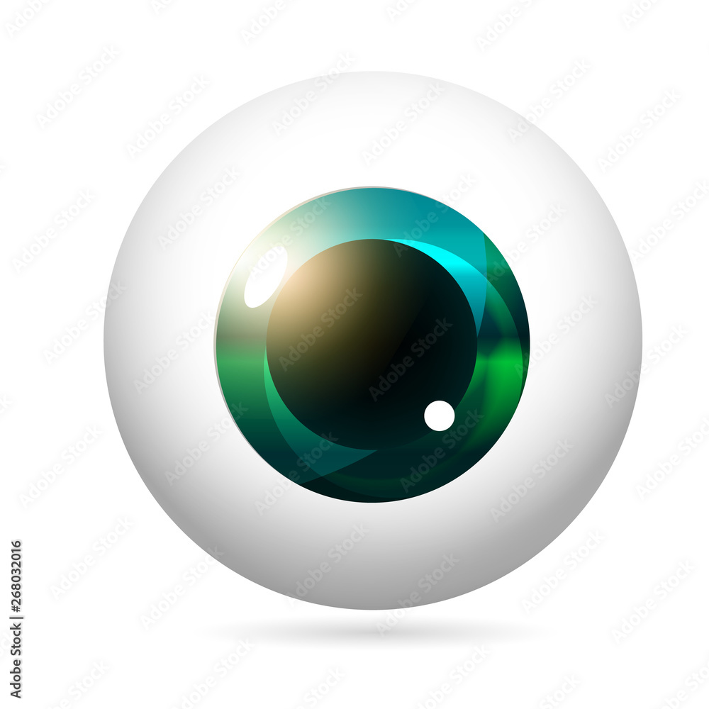Human eye front view close-up, cornea, retina, pupil. Emerald iris. Eyeball icon design isolated on white background. Realistic Vector Illustration Human eye front view close-up, cornea, retina, pupil. Emerald iris. Eyeball icon design isolated on white background. Realistic Vector Illustration