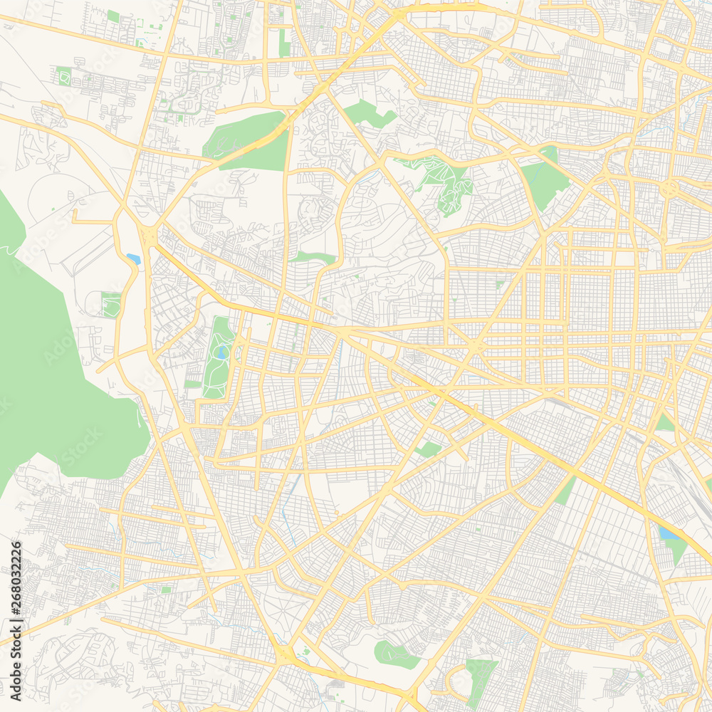 Obraz premium Empty vector map of León, Guanajuato, Mexico