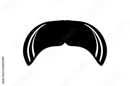 Walrus Moustache Icon Vector