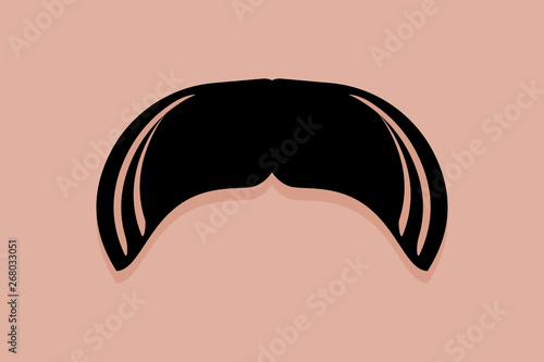 Walrus Moustache Icon Vector
