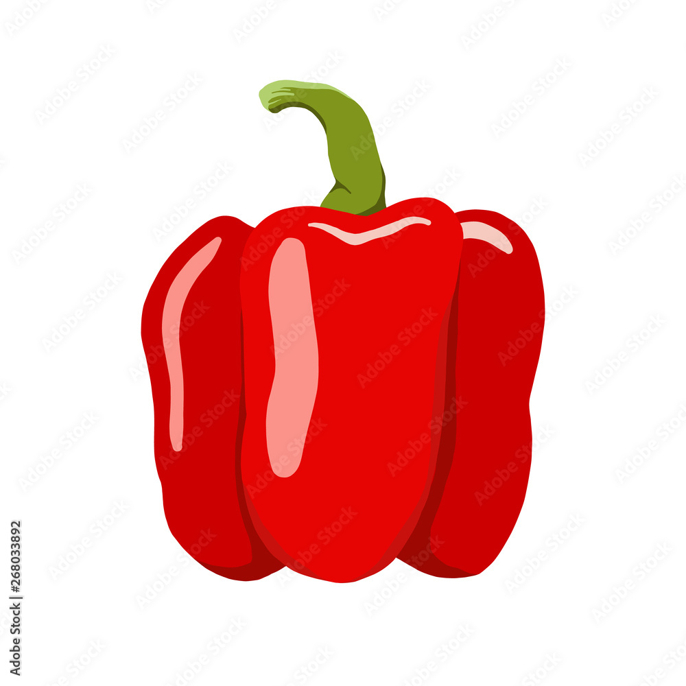 sweet bell pepper vector illustration. Cute bell pepper sweet bell pepper vector illustration. Cute bell pepper