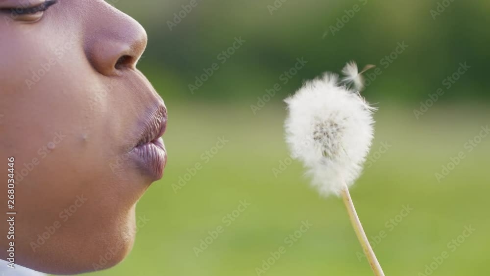 Young black female laughing blows away the seeds of a dandelion, in slow motion Young black female laughing blows away the seeds of a dandelion, in slow motion
