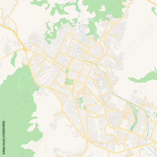 Empty vector map of Tepic  Nayarit  Mexico
