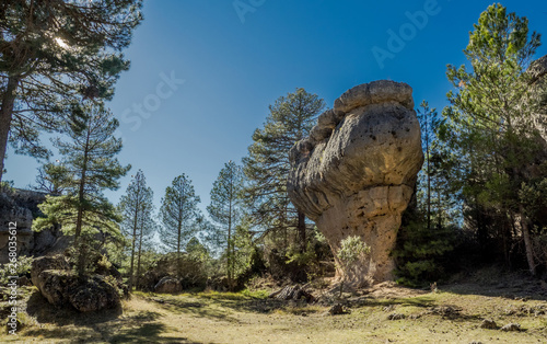 The Enchanted City of Cuenc...