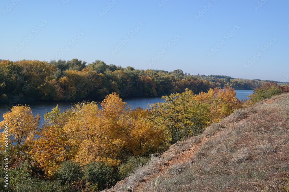 Fototapeta premium SAMSUNG CSC