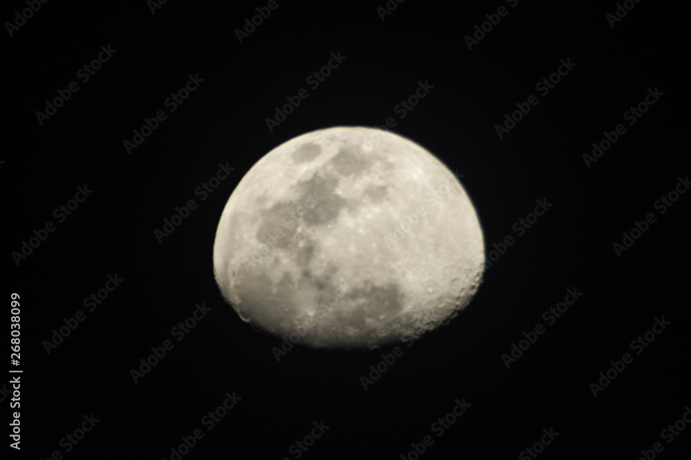 Fototapeta premium luna