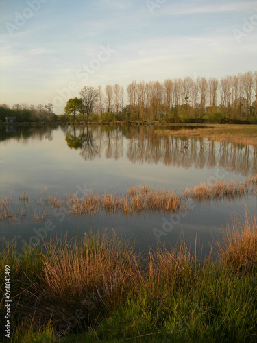 Картината върху платно étang, peupliers, reflets