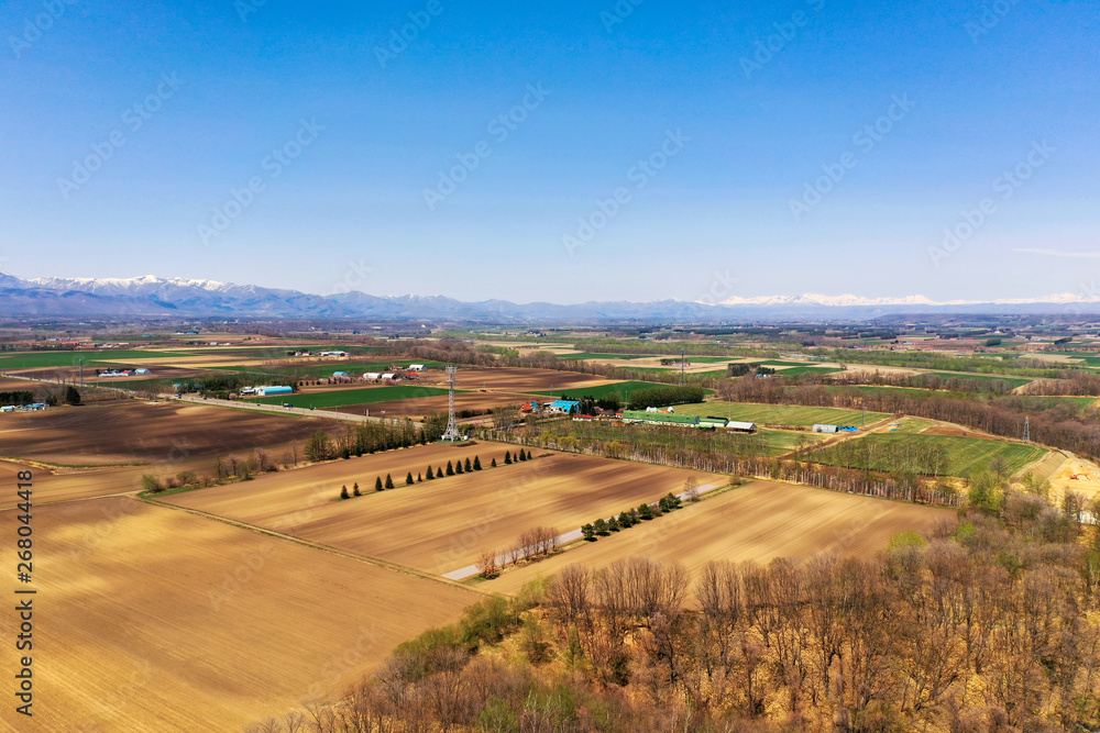 Obraz premium 春の十勝