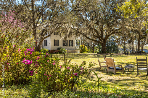 Foto Southern idyllic backyard in Georgia