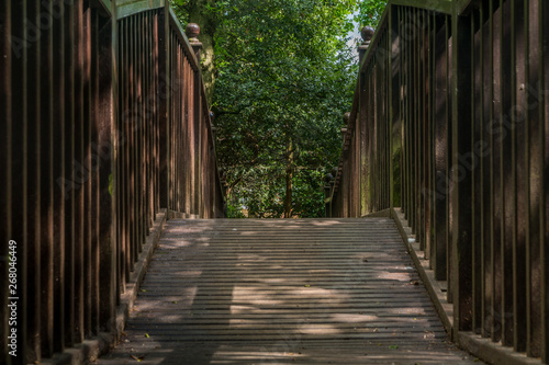 Fototapeta Naklejka Na Ścianę i Meble -  Wooden bridge over the creek in a garden.