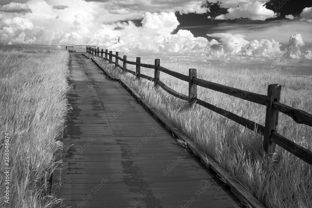 Wooden Path With Railing and Dramatic Cloudscape