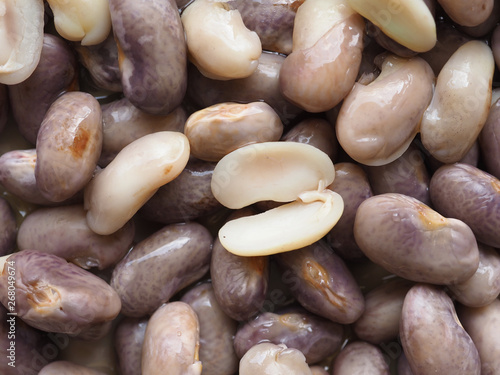 Wallpaper Mural crimson beans legumes vegetables food Torontodigital.ca