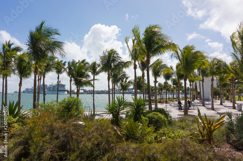 View from Pérez Art Museum of Miami photo