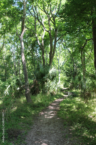 фотографія A path among the tropical vegetation, Fort Clinch State Park, Amelia Island, Flo