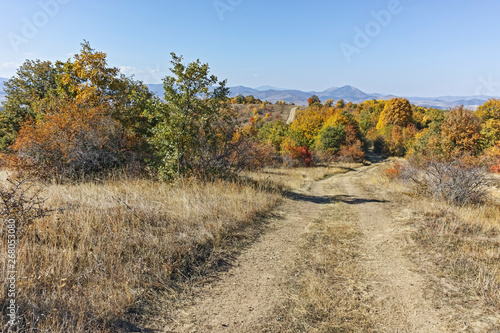 Autumn panorama of Cherna Gora (Monte Negro) mountain, Pernik Region, Bulgaria