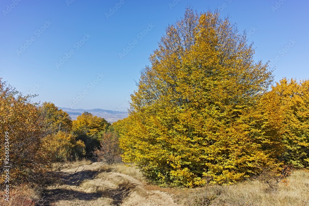 Fototapeta premium Autumn panorama of Cherna Gora (Monte Negro) mountain, Pernik Region, Bulgaria