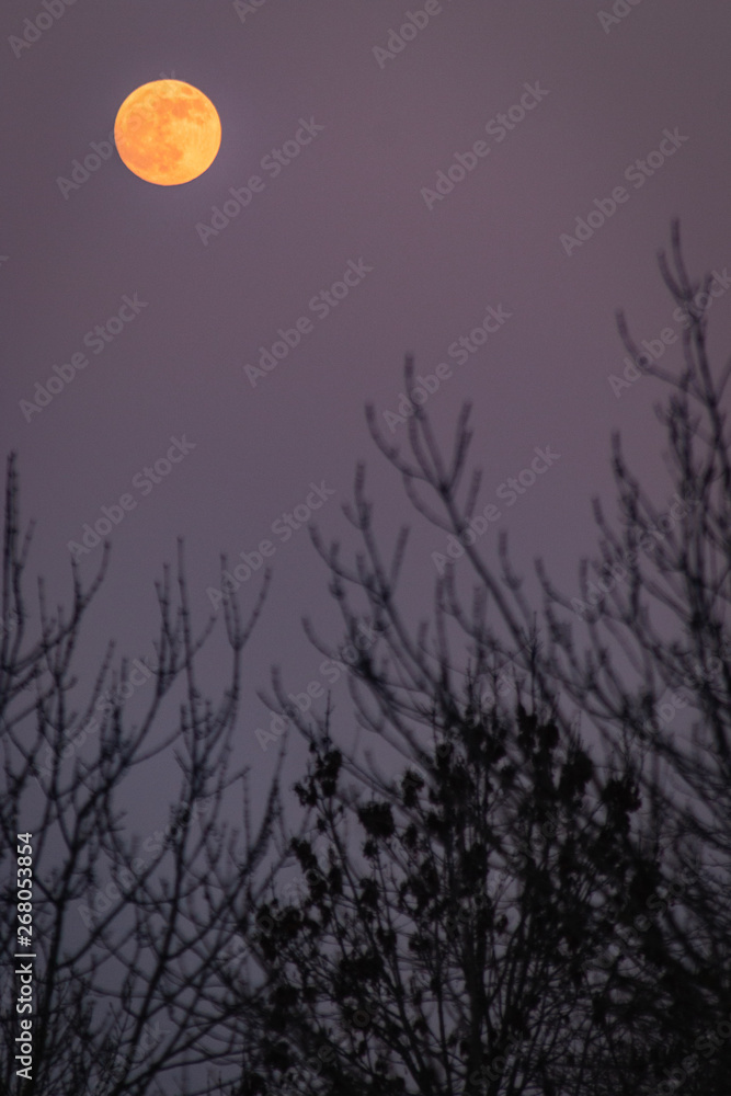 Vollmond im Winder Vollmond im Winder