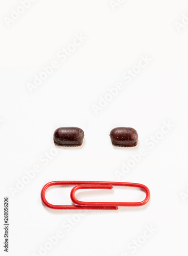 Cockroach Eggs Size Relative Comparison Between Paper Clip. Two Cockroach Egg Capsule and Red Paper Clip on White Background.