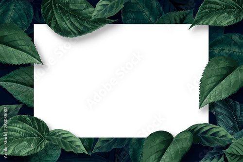 Forest leaf frame