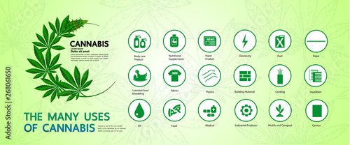 Elegant cannabis grand vector illustration.